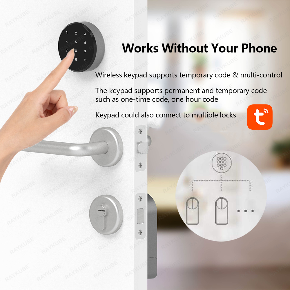 RAYKUBE A1 Pro Tuya BEL Smart  - Smart Home Lock recension och pris
